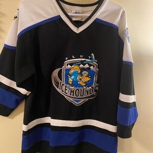 Vintage Disney Icehound  Pluto Jersey
